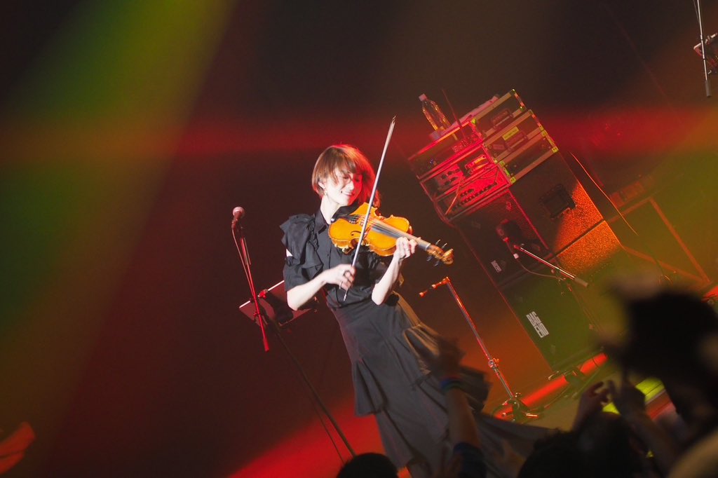 AyAsA_violin tweet picture