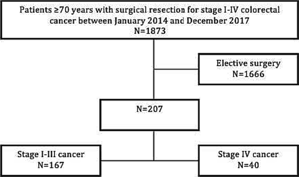 The prognostic value of a geriatric risk score for older patients undergoing emergency surgery of colorectal cancer: A retrospective cohort study geriatriconcology.net/article/S1879-… @WilliamDale_MD @rochgerionc @myCARG #GeriOnc #OlderAdults #OncoAlert #SIOG #YoungSIOG #Prediction