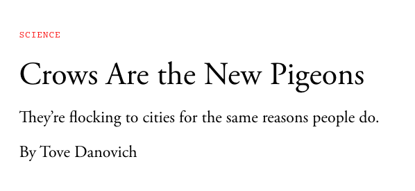 the crows have been freed up from working the land due to higher agricultural productivity and are converged on industrial cities to partake in booming commerce, trade, and industry