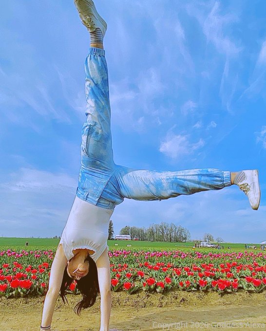 Spring is here Pants and hoody weather Time to blow kisses at the hoes https://t.co/dOLClyTQk4