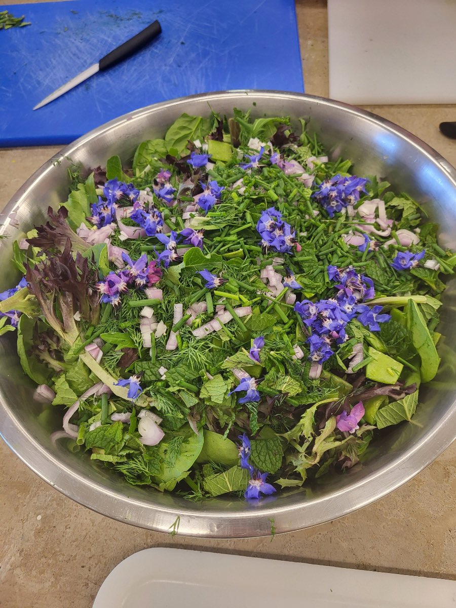 Beautiful spring salad complete with mint, borage and chives from the garden!! Super fun! Super yummy! @CARES_ELP @MtDiabloUSD
