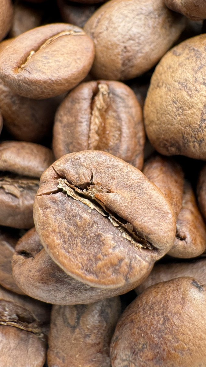 سعود عز 🤳 tweet media