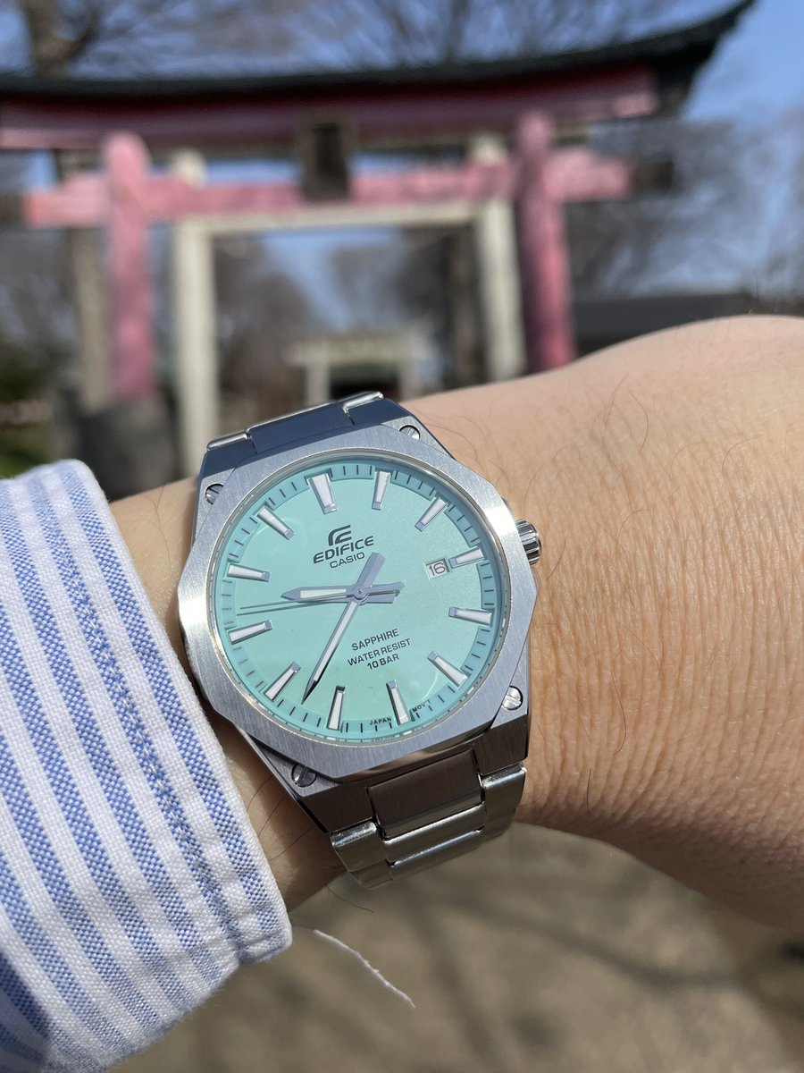 tokei_lover's tweet image. 春の陽気の土曜日。定期通院はターコイズのCASIO EDIFICE7.8mmの薄型3針クォーツで。
#casio #casioedifice #カシオエディフィス