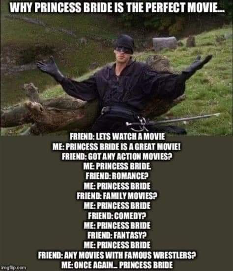 The Princess Bride is the best movie.  I will die on this hill.