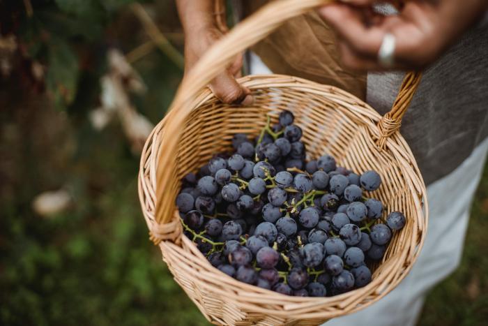 Are you a regenerative farmer? That’s the question @CDFAnews is answering by defining #RegenerativeAgriculture — and we need you to share your answer. Join the virtual listening session on Wednesday, April 3 at 5:30pm PT. More info here: ccof.org/blog/are-you-r…