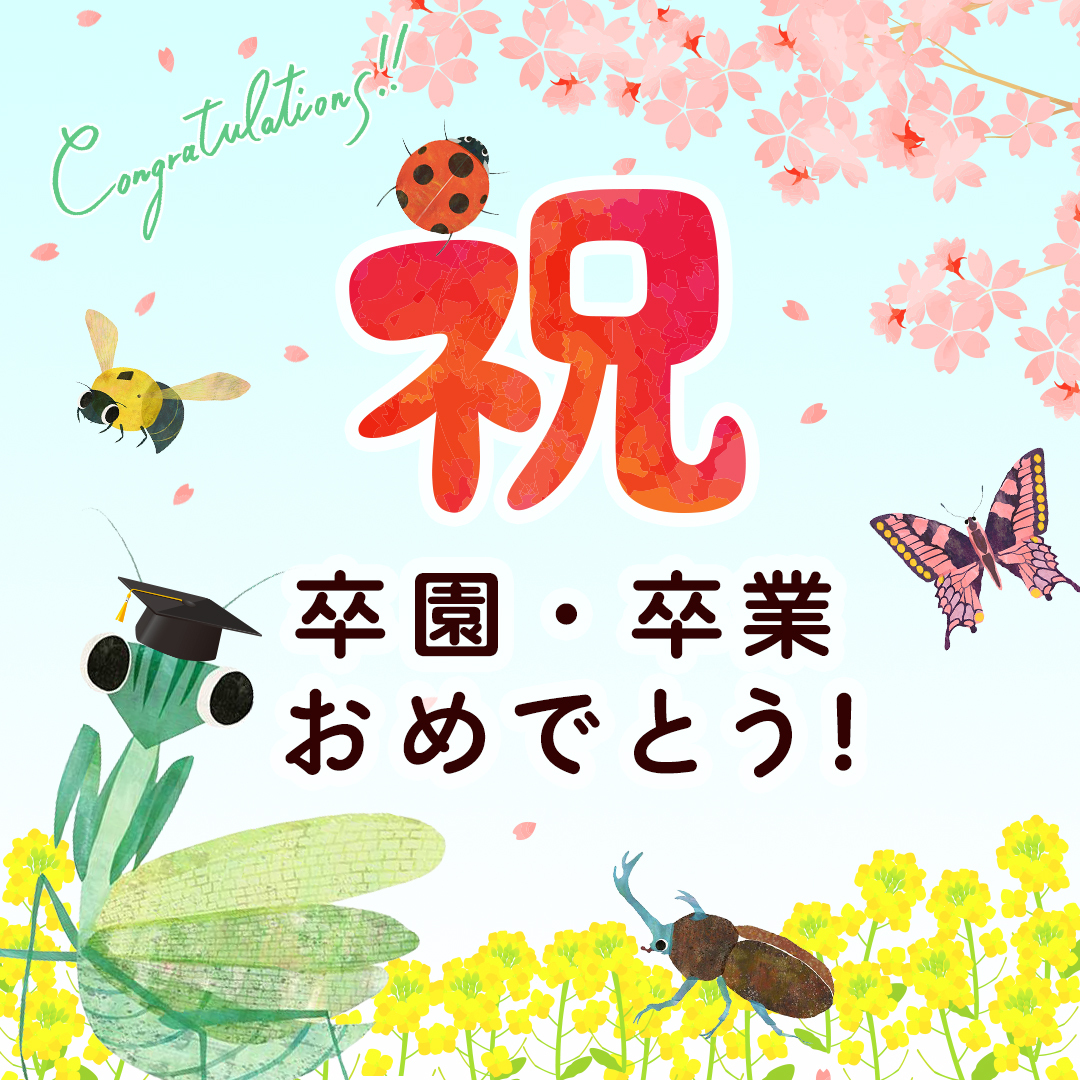 64collection's tweet photo. 🌸卒園、卒業式シーズン🌸
🎊おめでとうございます🎉

保護者の皆さまも一区切りの記念日、感慨深いですよね。
本当におめでとうございます！

新生活へのワクワクで満ちた子どもたち、その気持ちが素敵な思い出と共にずっと残りますように！ https://t.co/8znrxDfrYU