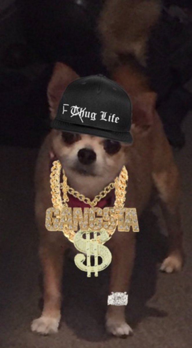 HarrynPogue's tweet photo. @natalievaness15 Spends lije yoo cud join ower fugg gang. Yoo nit chooz da fugg life… #fugglife https://t.co/6C13aCuIPI