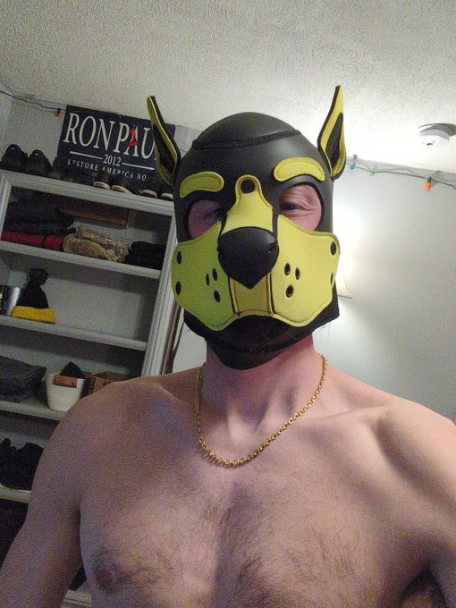 Happy Friday doggos, bikers, humans, and furry creatures. https://t.co/0ZOqcpqChv