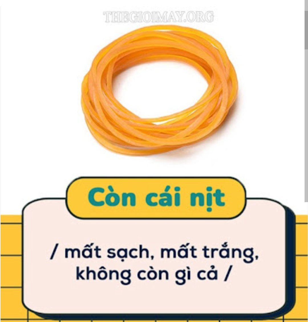Thái Long tweet media
