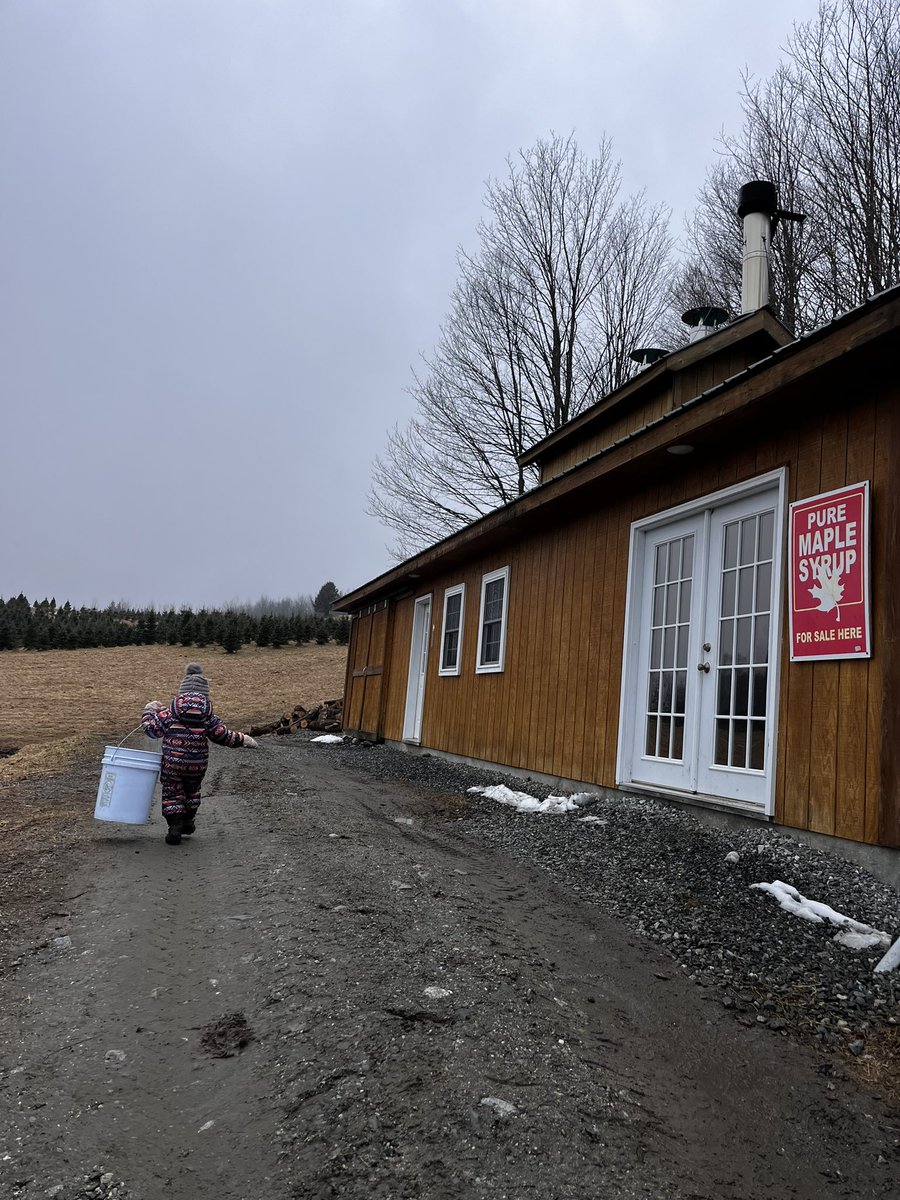 MapleHillFarmVT's tweet photo. We have everyone chipping in today! There is sap to be collected and boiled! #Maple #Vermont #RealMaple https://t.co/kKjc9Av4D5