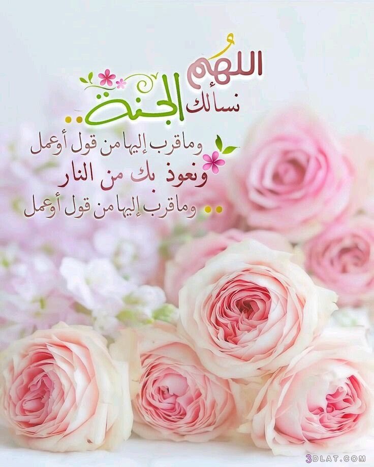 💫 جارة القمر 💫 (@maryamh2211) on Twitter photo 