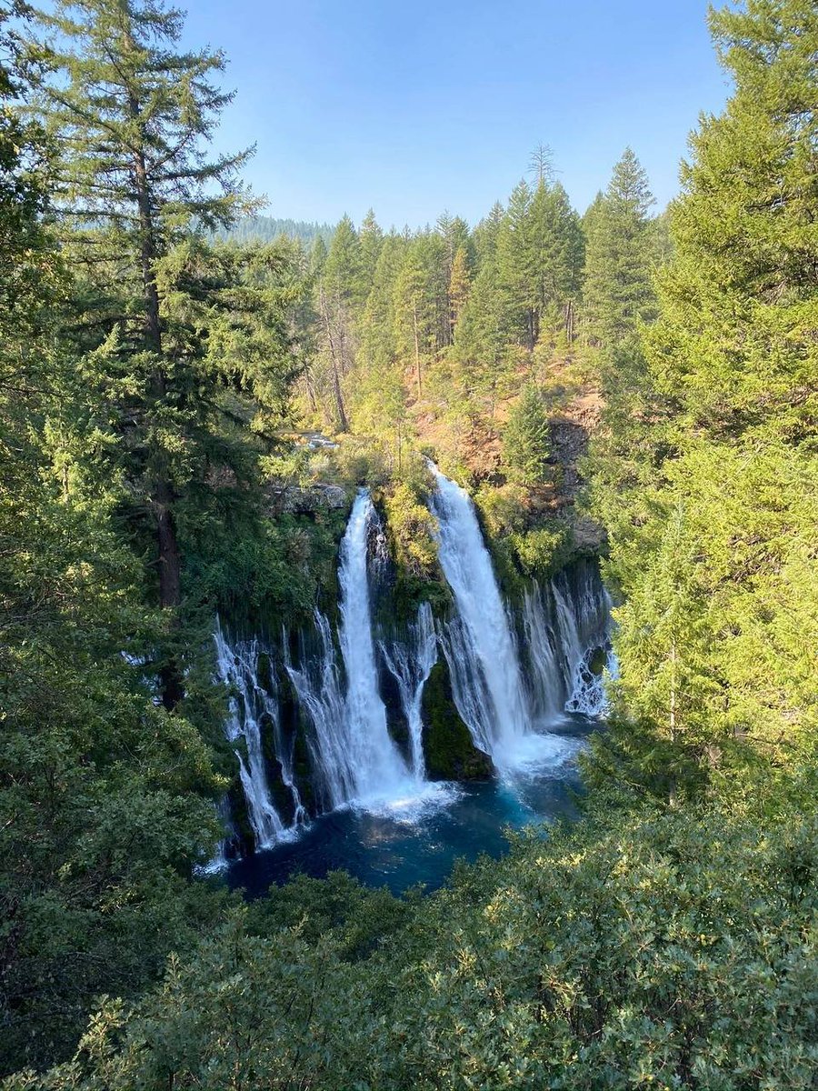 The most beautiful waterfall in California Burney Falls|||Burney Falls is definitely California’s hidden gem and nature wonder: although it is hidden in a state park, it does eclipse the waterfalls in many national parks. #CaliforniaTravel #BurneyFalls