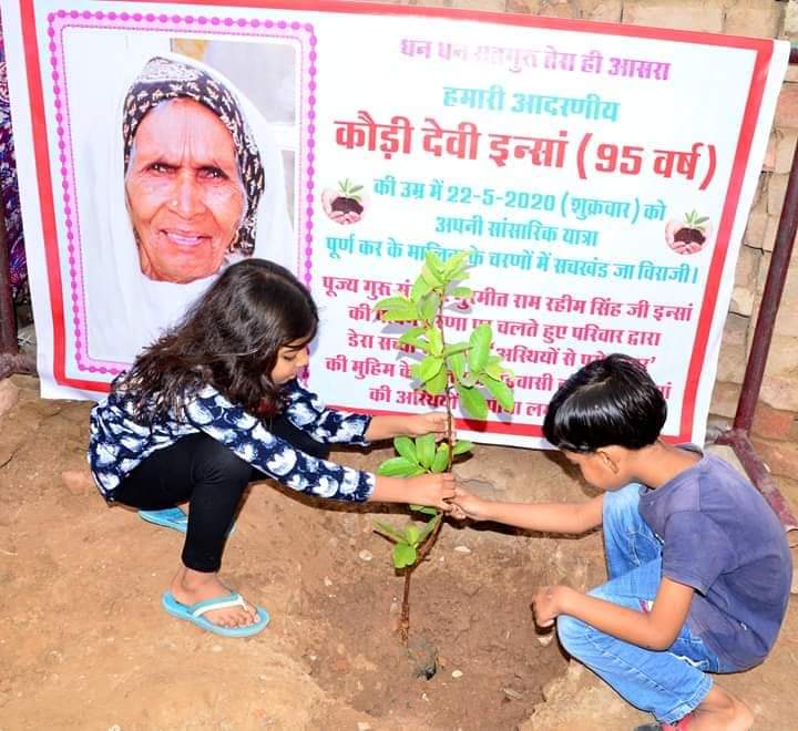 Many people, after burning the dead body, throw its bones and ashes in the rivers; doing so spoils both water and the environment. Saint MSG says, plant a tree over the bones which will remind you of your loved one and also purify the environment. #अस्थियों_से_परोपकार