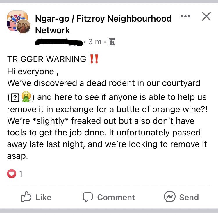 fitzroy be like ‘trigger warning: dead rat disposal for orange wine’