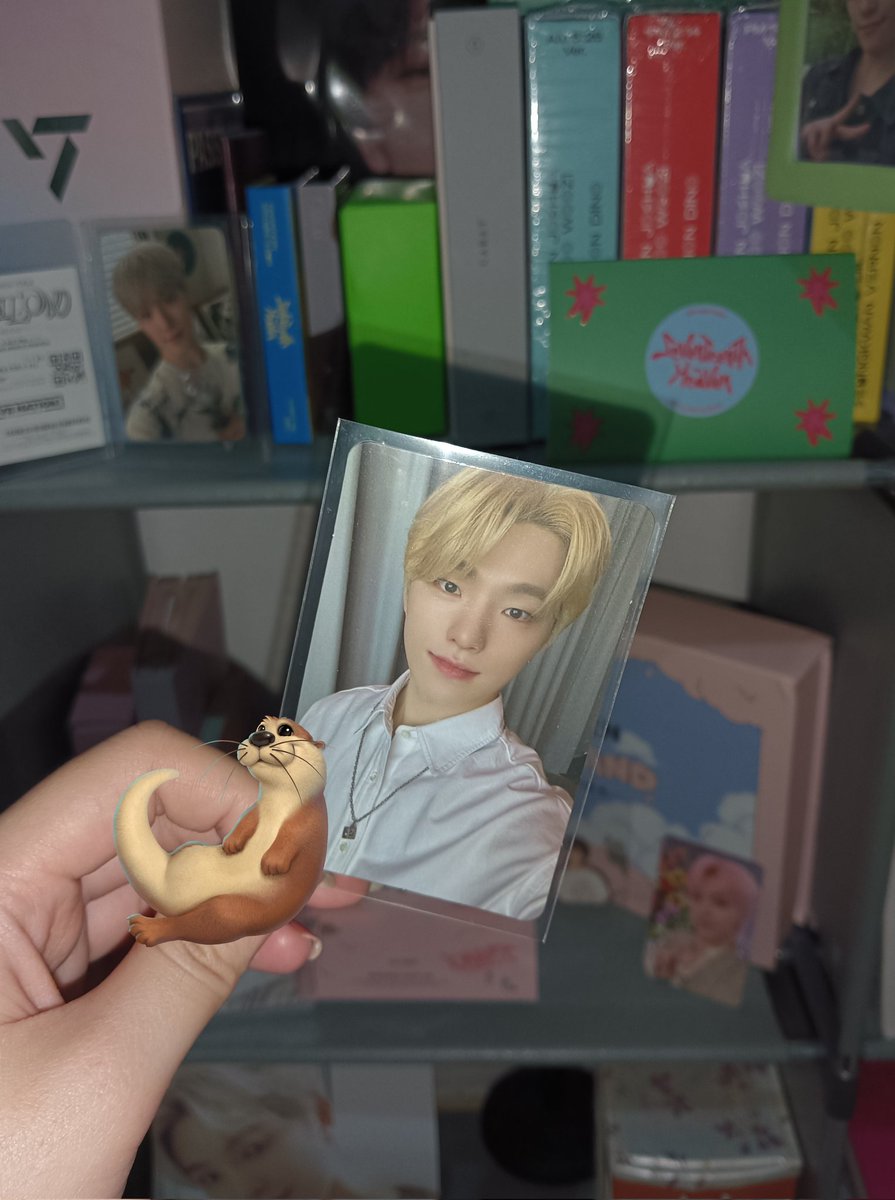 ft_cheolin's tweet photo. this cutie found his way home to me yesterday π₯Ί kinikilig pa rin aq kasi β¨β¨β¨
thank you po, @coupscheck #sheylemet π«Άπ» https://t.co/TTOL4osAXL