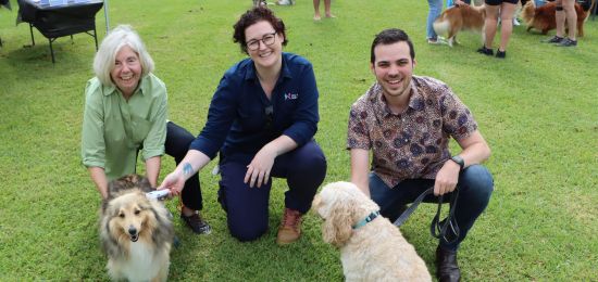 Pups put their paws up for free microchipping at Lambton Park bit.ly/3wUo8gG