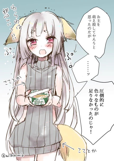 色々と足りなかったおキツネ様🦊 