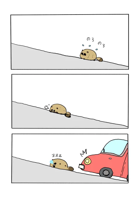道の真ん中で寝るたぬき
#たぬきエピソード 
