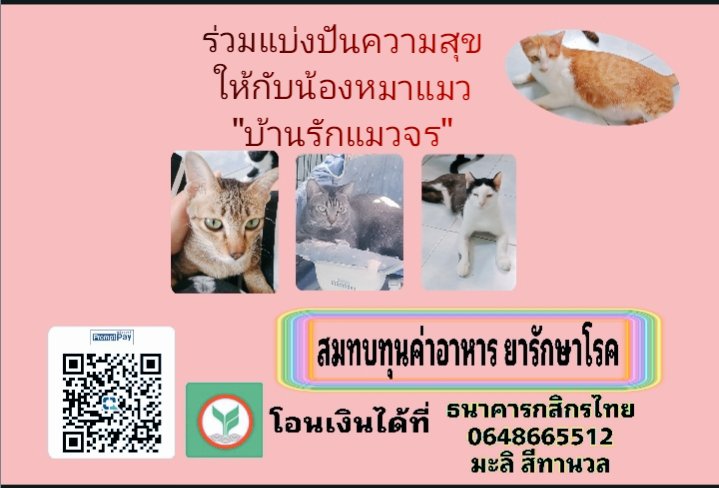 ***มะลิบ้านรักแมวจร41ชีวิต+สุนัข2🏠__🐇🐈‍⬛🐕🍃 tweet media