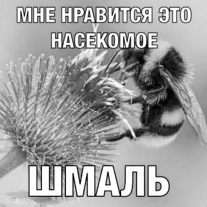 ребят 5:42, сон хуйня, слушайте свое сердце и дух весны ебать