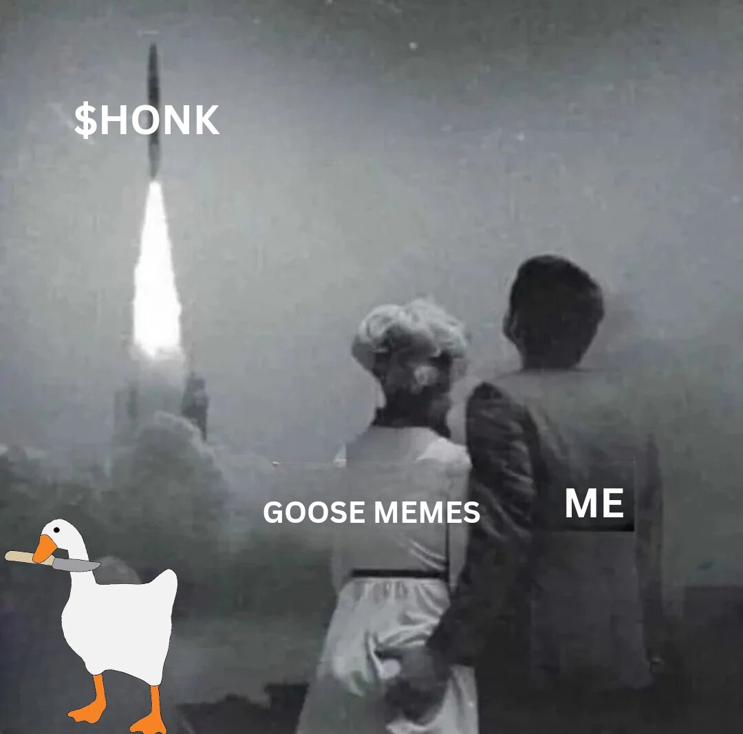 Never. Let. Go. 🪿 

$HONK