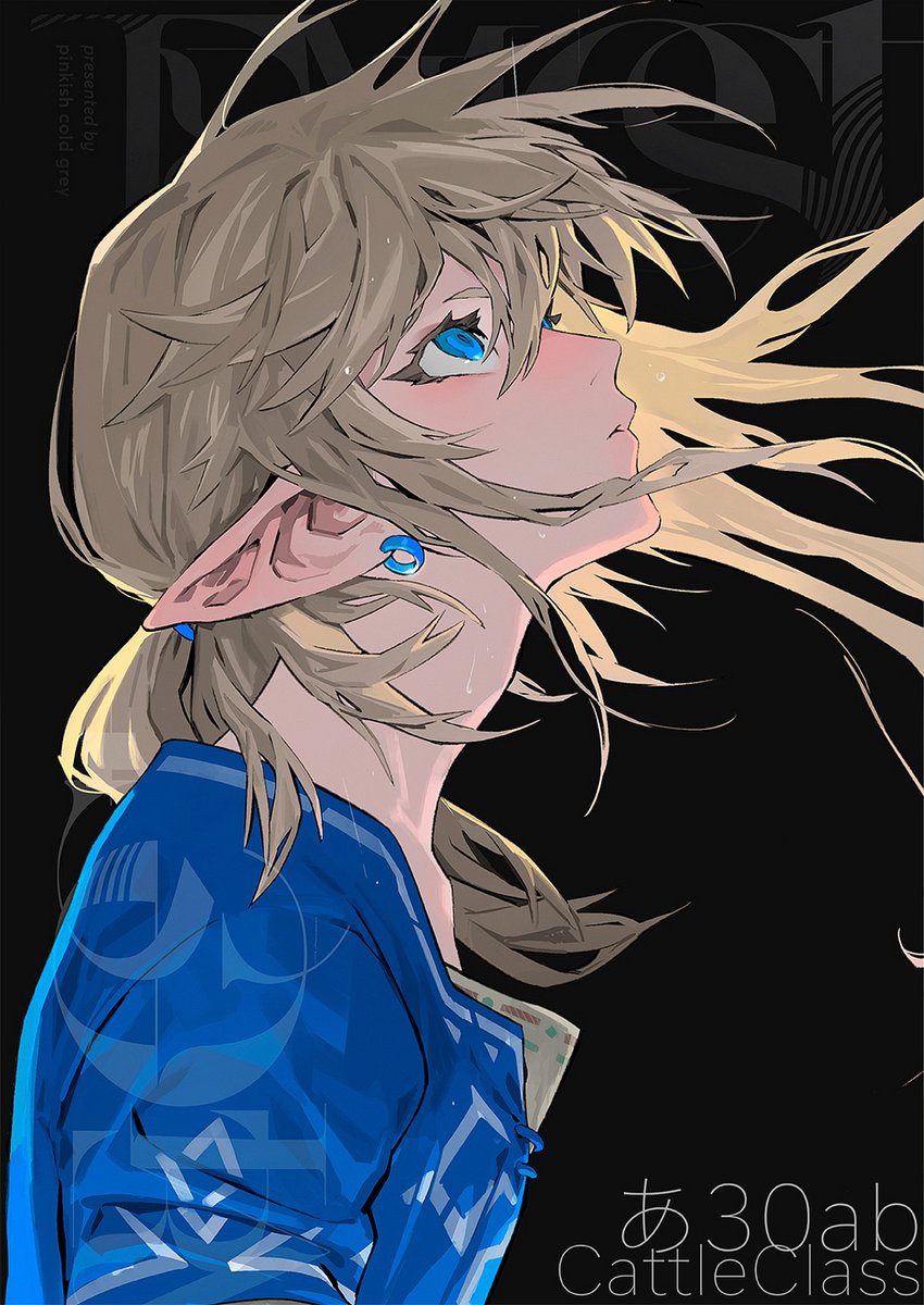 link solo long hair blue eyes simple background shirt blonde hair 1boy  illustration images