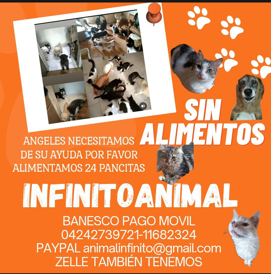 infinitoanimal2's tweet photo. 🆘🐾 ANGELES POR FAVOR AYUDENME A DIFUNDIR LA MAMADA INFINITOANIMAL ESTA SIN ALIMENTOS SON 24 PANCITAS QUE ALIMENTAR 😿 AYUDENME EN LO QUE PUEDAN
DF @NuriTrejo @AbuelitaLinda2 @FRAENKELE @anabelladc @PerroUsuario @gracon27 @MariaConchita_A @Mary_Jar https://t.co/7PiJWLMUHU