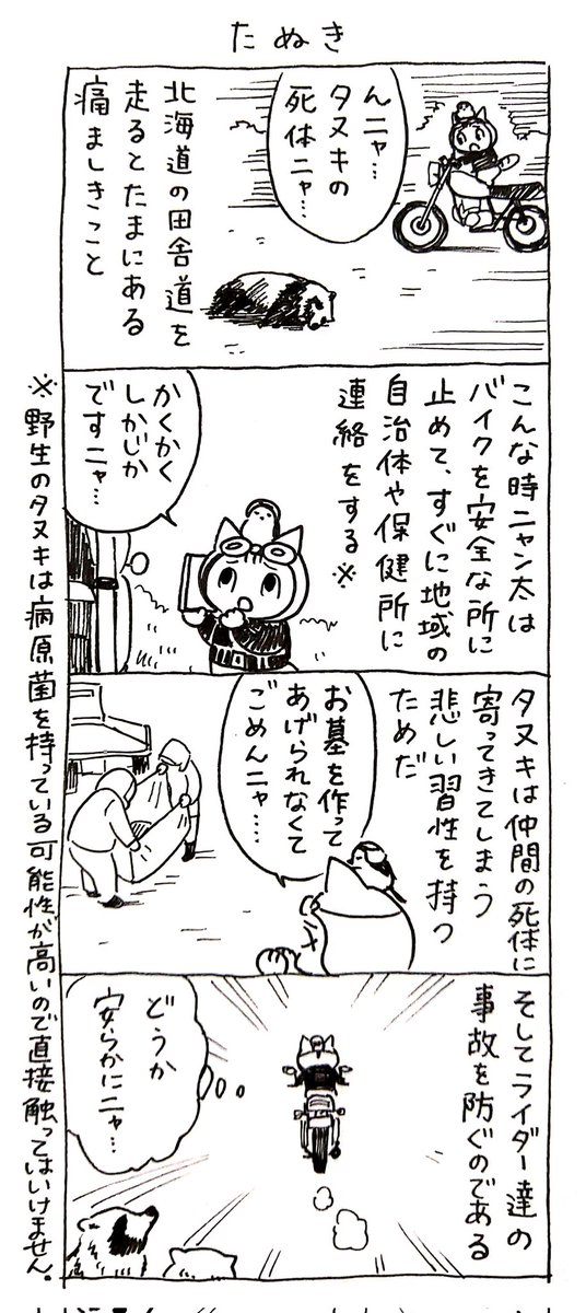 4コマ漫画「ネコ☆ライダー」
たぬき🏍️🐈️ 