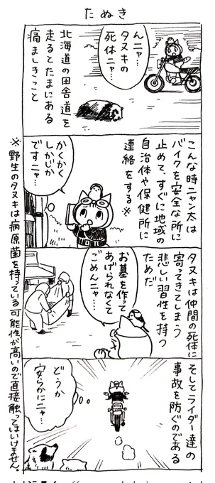 4コマ漫画「ネコ☆ライダー」たぬき 