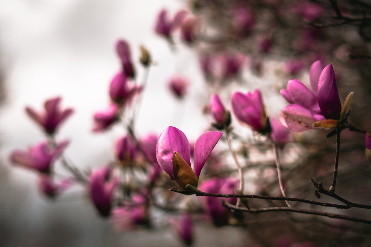 Snapped by Carson tweet media