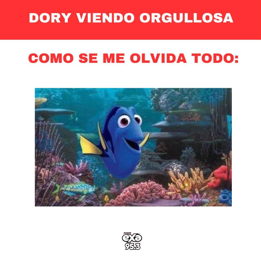 exafm_tampico's tweet image. 😂😂

#Exa #ExaTampico #ExaMeme #viernes #BuenasNoches