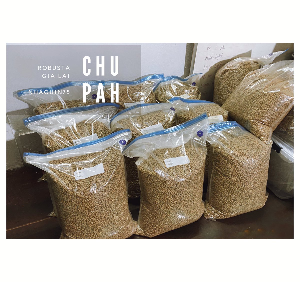 nhaquin75's tweet image. Tại sao chúng tôi lại chọn sơ chế Natural cho hạt Robusta Gia Lai của mình?

Bởi chúng có hương vị mạnh mẽ, đắng đậm, body dày và chứa nhiều caffeine hơn các dòng sơ chế khác. Phù hợp với cả cà phê đen hay uống kèm sữa đá. 

#RobustaGiaLai
#NaturalProcessing