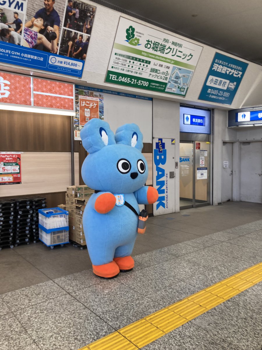 5kt's tweet photo. もころん@小田原駅 https://t.co/Wyn7Np1YW7
