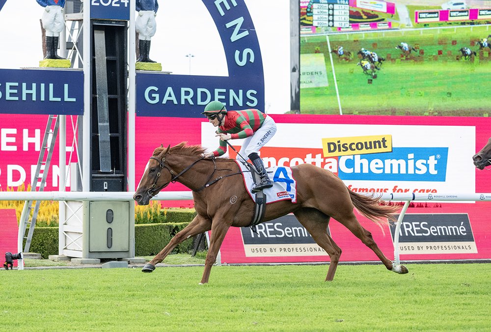 inglis_sales's tweet photo. DRIFTING (Zousain) takes out the G3 Magic Night Stakes @aus_turf_club. @SnowdenRacing1 @wj_bloodstock purchased the #InglisClassic graduate for $160k from @murrullastud last year. She now boasts an impressive race record of 3-2:1:0. https://t.co/g5vCwuL1cZ