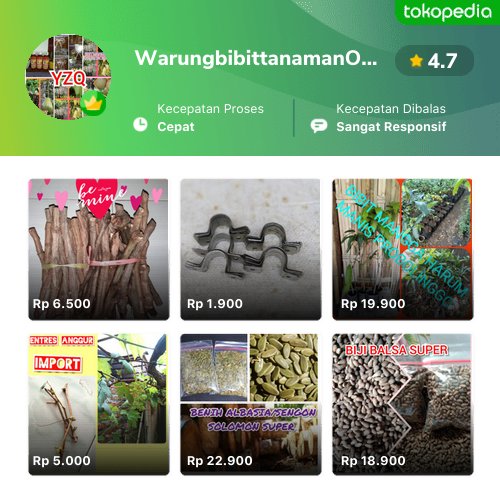Semakin mudah belanja produk WarungbibittanamanOlshop di Tokopedia. Cek aja, pasti ada yang kamu suka
tokopedia.com/yusufzainalqub…