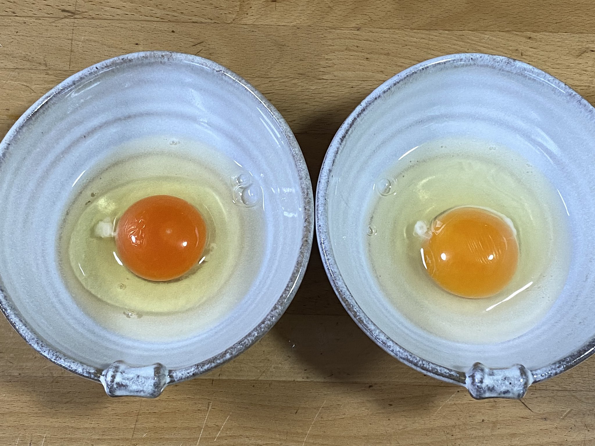 卵の黄身様なページ j0000000976001s2_1.jpg