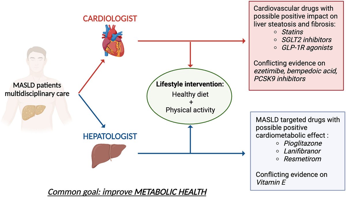 😊Our new article in @ATHjournal 😊 ✅multidisciplinary approach crucial in #MASLD ✅#cardiological treatments may have beneficial effects on the #liver and vice versa 👉atherosclerosis-journal.com/article/S0021-… @UCalgary @McGill_DOM @cusm_muhc @CASLupdates @UAlberta @RIMUHC1 #livertwitter @FRQS1