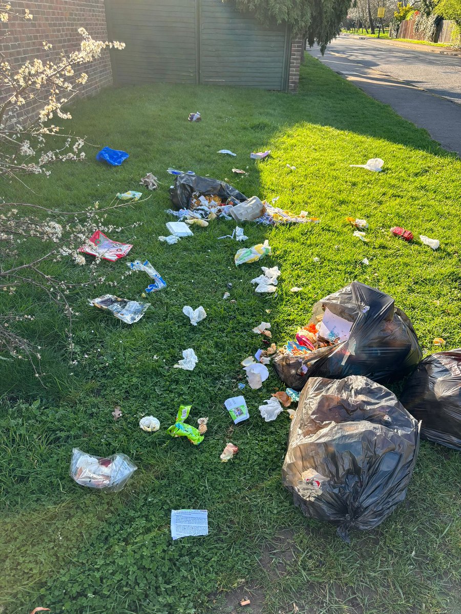 Ricky_T_Thomas's tweet photo. Second time in the last couple of weeks, people dumping bin bags on Oak Avenue and then rubbish strewn everywhere once the foxes get at it! @LBRuT_Help @LBRUT https://t.co/WJb8MABJLM