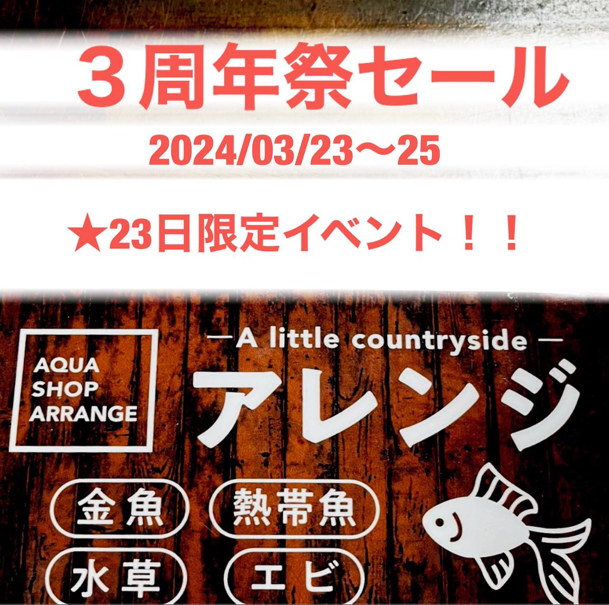 めろ♡年末sale開催中 こんにちは！ 本日はアレンジさんのお店で特別な20%offセールや抽選を