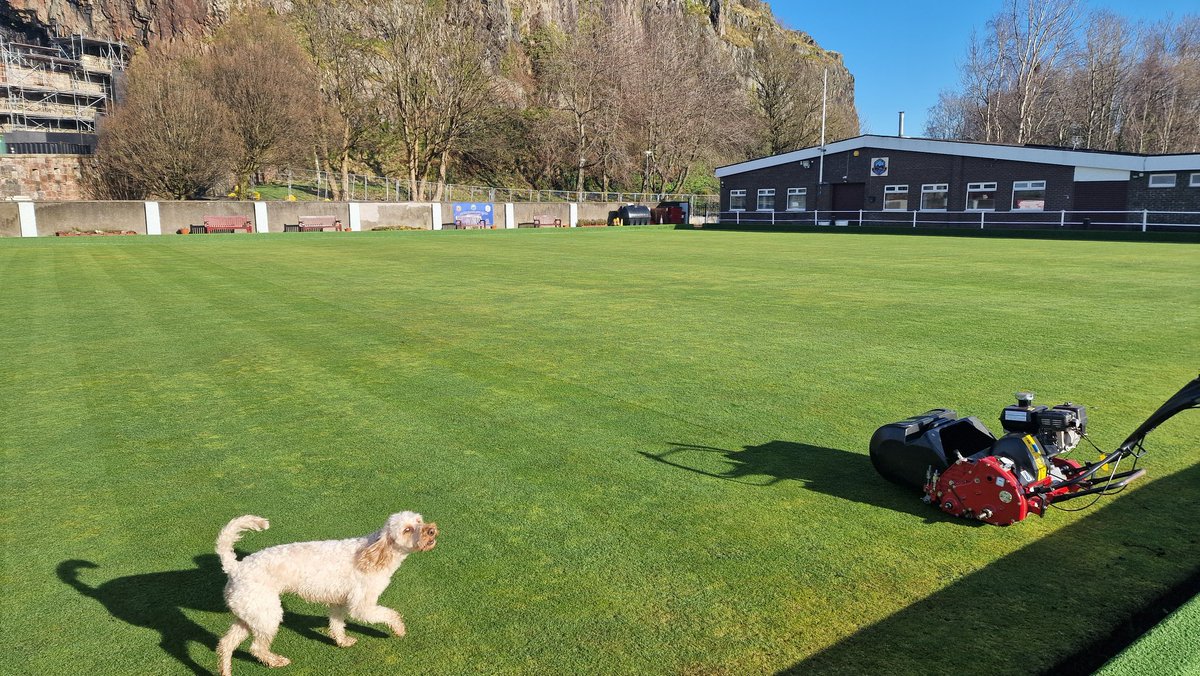 Rock Bowling Club tweet media
