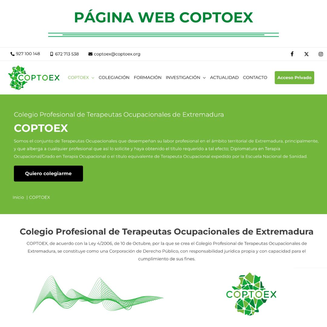 coptoex's tweet photo. ¡Bienvenidos a la Página Web de COPTOEX!

🔗 https://t.co/aY0W62BN4t 🔗

Esperamos que os guste la casa virtual de todas y todos los Terapeutas Ocupacionales de COPTOEX 🌐

#COPTOEX
#TerapeutasOcupacionales https://t.co/05eDPJSBDs