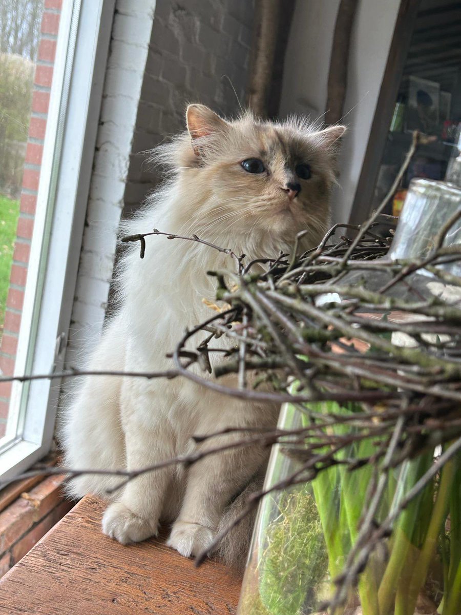 Takjes van buiten… een onderzoek is nodig..