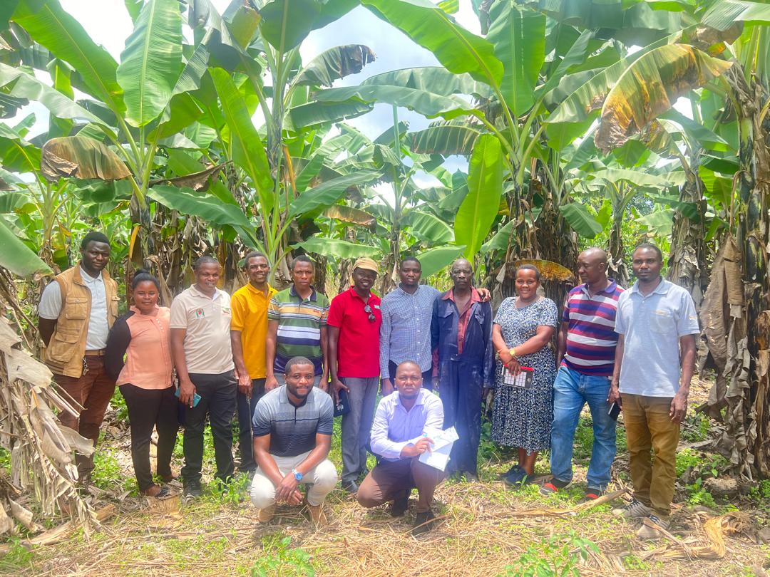 JonasNickas's tweet image. Exciting field work with TOSCI &amp;amp; TARI testing Tumaini app to detect banana diseases in #LakeZone Tanzania! 🍌📱#AI #PROSSIVA #Point_of_Care_Banana_Disease_Detection