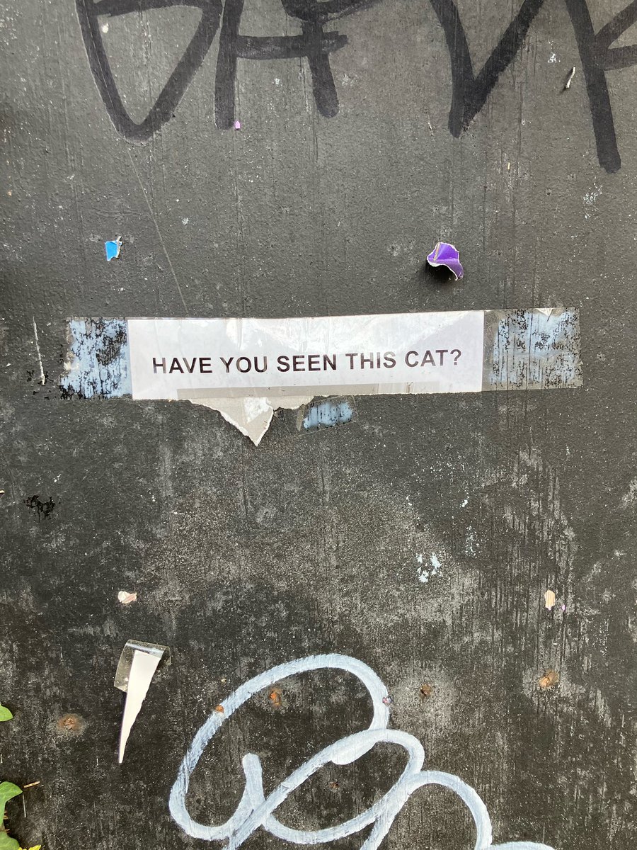 DwanSile's tweet photo. Sequel to Schrödinger’s cat thought experiment 🐈‍⬛ https://t.co/96gua75Woh