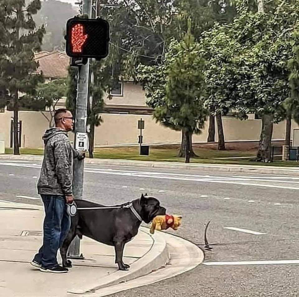 🌏 Planète Animaux tweet media