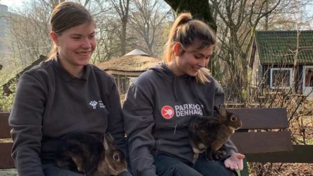 Gemuteerde konijnen  [Natuur onder de Loep] -  streekbladzoetermeer.nl/l/151879