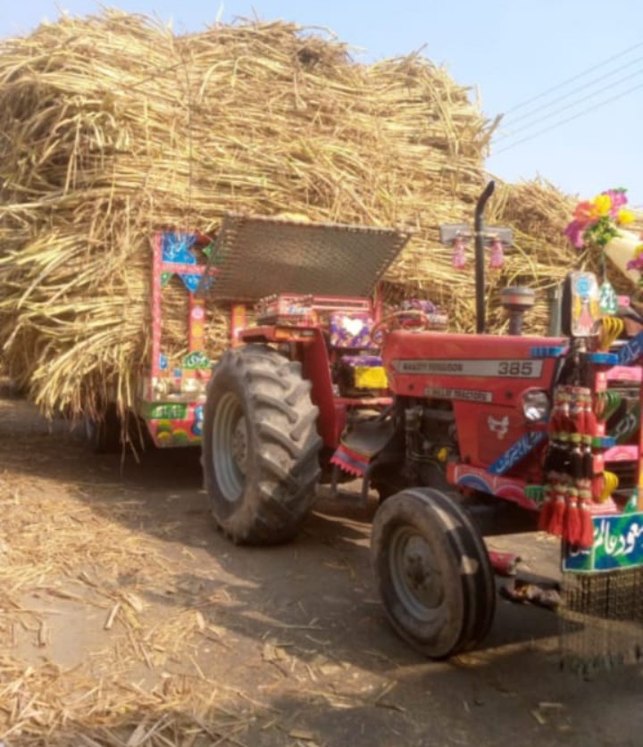 Muhammad faheem (@khan83868) on Twitter photo 