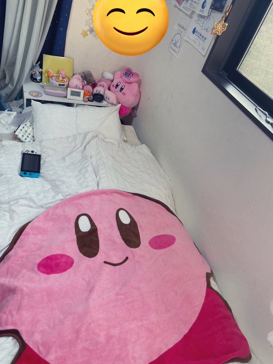 寝てる時かびたやに癒されてる⊂ -'o'-)つ✩彡