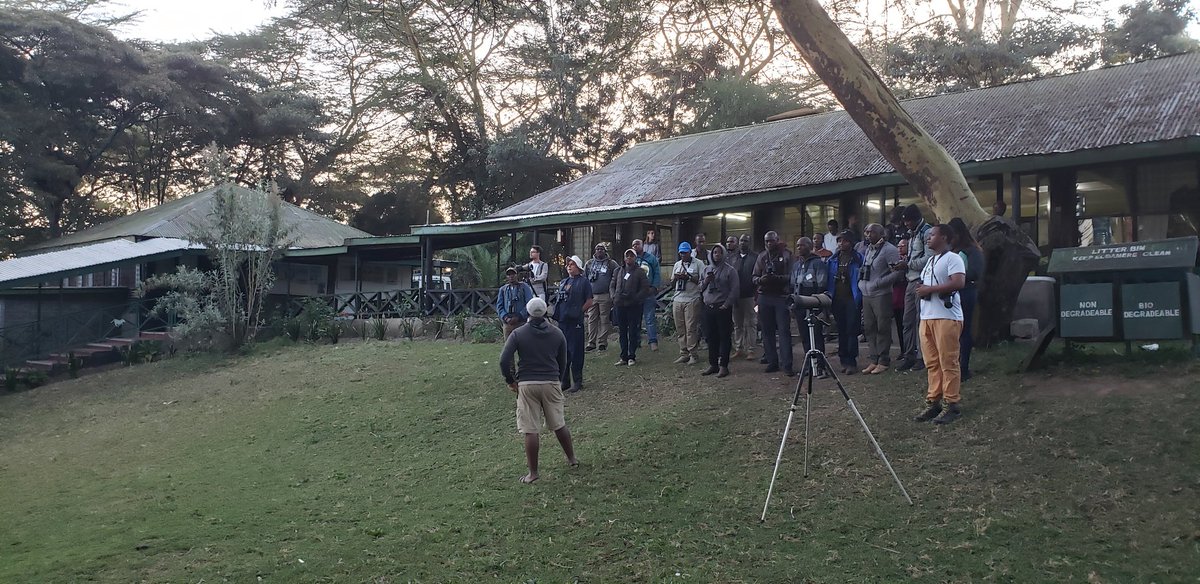 Fundamentals of Ornithology 2024 has got off to a great start w an enthusiastic group of birders & bird guides. 29 years after being started by @museumsofkenya it is more popular than ever & still as much fun! Today we've focused on 'finding the right family'. #birds #birding