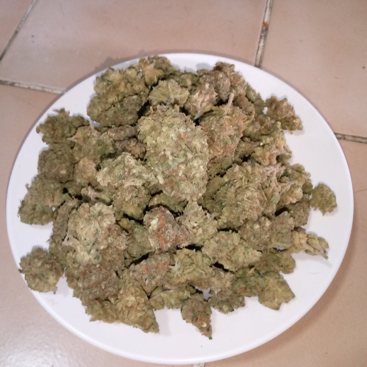 GreenButcherTH's tweet photo. Bruce banner
100g 
All day 5500
Indoor airco led https://t.co/VZAcVsG3Mb